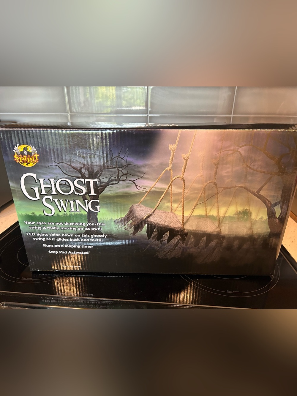 Ghost Swing (Spirit Halloween) Decoration.